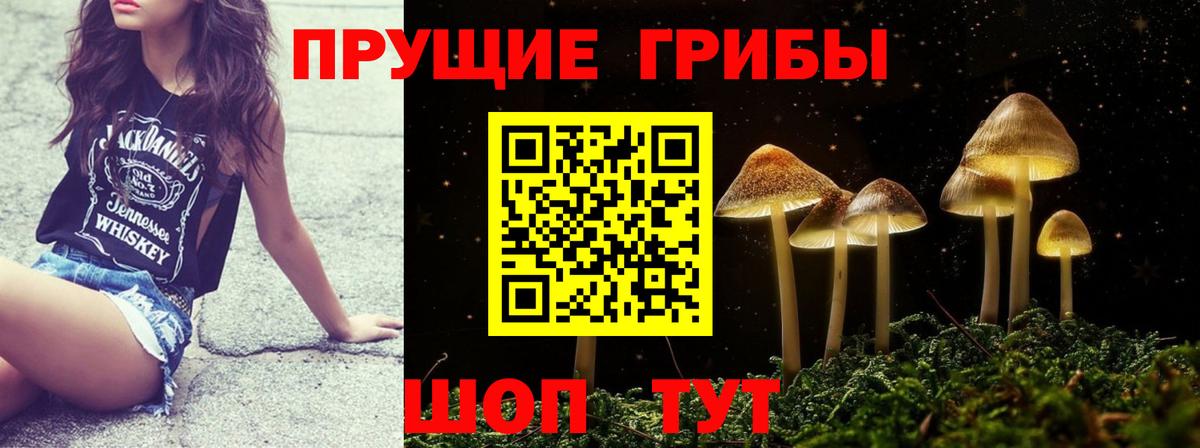 Галлюциногенные грибы ЛСД  Вход с VPN  Каменск-Шахтинский  Псилоцибиновые грибы ЛСД 